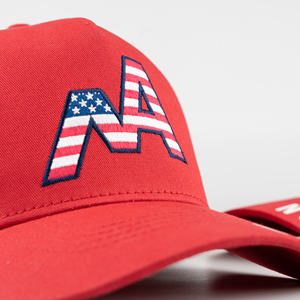 Gorra de Béisbol TCAP China Personalizada de 5 Paneles con Visera Curva y Bordado Plano en Tela de Algodón - Product Image 6