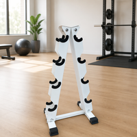 Support de Rangement Robuste à 4 Niveaux pour Haltères avec Supports Rembourrés en Caoutchouc Protecteur pour Équipement de Musculation à Domicile