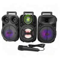 Haut-parleur Subwoofer Professionnel 6,5 Pouces Portable Sans Fil Audio Son Personnalisé Poignée Randonnée Extérieur Coque Robuste Usine