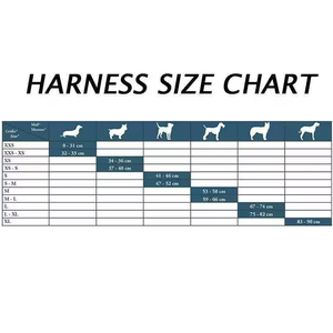 Imbracatura per Cani con Sistema di Fibbie, Design Bestseller per Passeggiate all'Aperto - Product Image 6