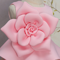 Robes de princesse pour petites filles et jeunes enfants, de haute qualité, personnalisées, de marque d'usine, pour fêtes d'anniversaire et spectacles