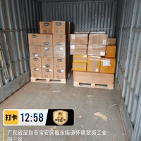 Chinas Bester Seefracht-Agent für LCL-Seefracht nach Beira/Maputo Mosambik von Chinesischen Häfen mit Kostenloser Lagerung und Konsolidierung