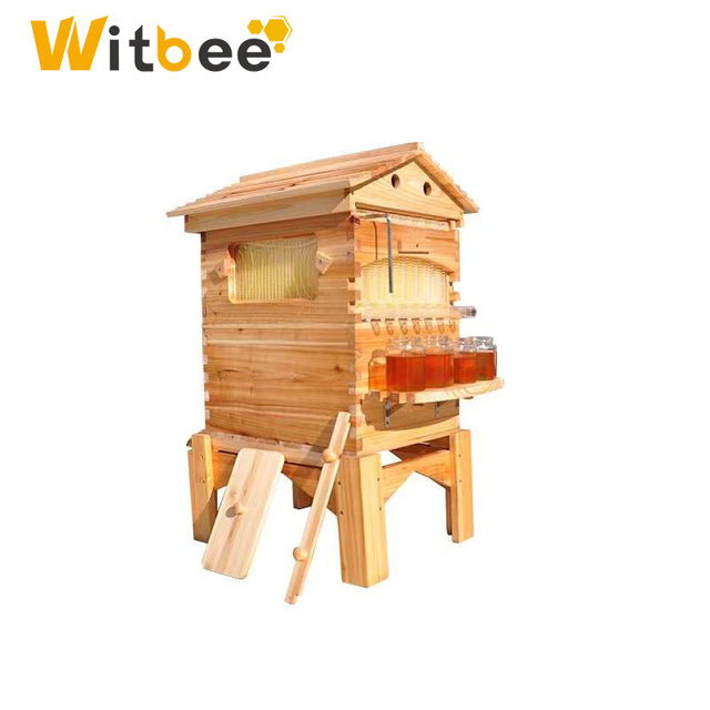 New Beekeeping Equipment Wax-Coated Chinese Fir 18mm Thickness Dovetail Joint Self-Flowing Beehive Set Automatic for Hive