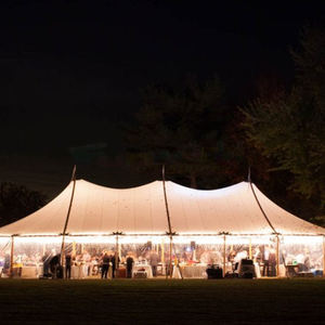 Carpa para eventos al aire libre, carpa para fiestas, carpa extensible para eventos, carpa para bodas con capacidad para 100 personas - Product Image 5