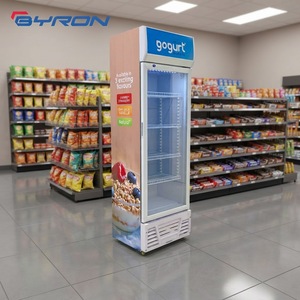 Réfrigérateur commercial à refroidissement direct, vitrine verticale à porte vitrée unique pour boissons, Byron, pour supermarchés et commerces de détail - Product Image 1