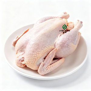 Poulet entier surgelé en gros |   Approuvé <span class=keywords><strong>Halal</strong></span> pour la transformation alimentaire et la vente au détail - Product Image 1
