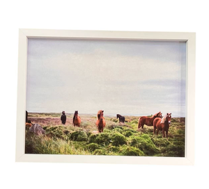 Pintura em Tela de Retrato de Cavalo, Decoração com Tema Equestre - Product Image 4