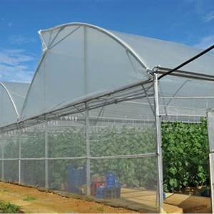 Invecchiato stile francese struttura della facciata del giardino d'inverno grande reale in ferro battuto <span class=keywords><strong>verde</strong></span> arrugginito porte della casa finestre serra Orangery grande - Product Image 6