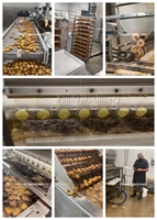 Nouvelle ligne de production industrielle automatique de friture pour falafels, boulettes de poulet et sandwichs de restauration rapide
