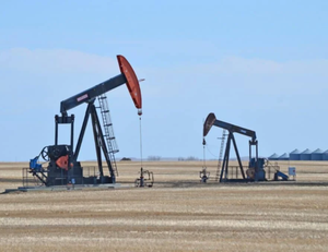 משאבת שמן api 11e יחידת שאיורים שקע יחידת שאיבת עבור שמן כבד ייצור טוב - Product Image 5