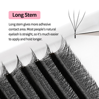 D curl 0.07 plein volume moelleux look longue durée 3d 4d 5d armure W en forme de mat volume foncé extensions de cils plateaux produits