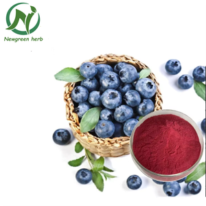 Bubuk Ekstrak <span class=keywords><strong>Bilberry</strong></span> Murni Organik Alami Cina Grosir Newgreen - Product Image 2