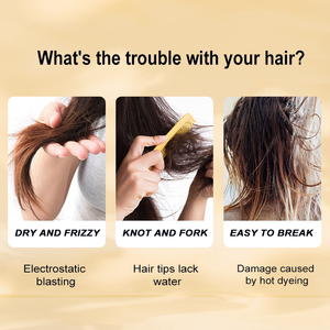 Aceite de argán <span class=keywords><strong>Protector</strong></span> <span class=keywords><strong>térmico</strong></span> para el cabello Spray <span class=keywords><strong>protector</strong></span> <span class=keywords><strong>térmico</strong></span> para el cabello Anti Frizz Silkening Mist Protección contra el calor Spray para desenredar el cabello - Product Image 4