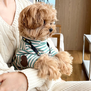 Abrigo vaquero para perros de raza pequeña-Ropa de otoño para Teddy, Bichon, Pomerania y Schnauzer - Product Image 2