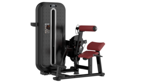 Machine à double fonction de qualité supérieure à charges réglables pour salle de sport commerciale - Product Image 3