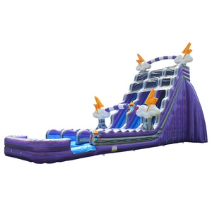 Tobogán Acuático Inflable Comercial <span class=keywords><strong>de</strong></span> 30 Pies <span class=keywords><strong>de</strong></span> Altura con Temática <span class=keywords><strong>de</strong></span> Truenos, Doble Carril, con Piscina para Niños y Adultos, Juegos Acuáticos al Aire Libre y <span class=keywords><strong>Alquiler</strong></span> para Fiestas - Product Image 6