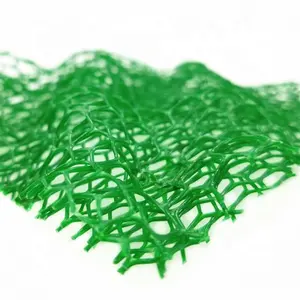 Green Plastic Three Dimensions Geomat Embankment Vegetation net for Soil Protection