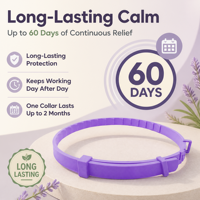 Collier apaisant pour animaux de compagnie en polyester solide réglable avec logo personnalisé Chanson, anti-anxiété, anti-stress, à la phéromone, pour chiens et chats
