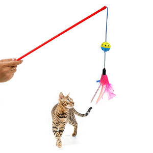 Gato pluma varita juguetes de plástico varita retráctil gato juguetes simons gato de juguete - Product Image 4