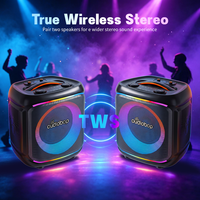 Altavoz Karaoke Inalámbrico de Edición Premium, Sistema de Audio de 8 Pulgadas, BT 5.3, Conexión TWS, Ideal para Fiestas al Aire Libre en el Patio Trasero