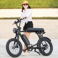 Bicicleta eléctrica de 20 pulgadas, bici con batería opcional de alta calidad