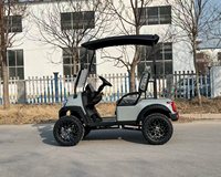 Voiturette de golf tout-terrain deux places, 4 roues, frein hydraulique, homologuée pour la route, buggy électrique avec éclairage LED, couleur personnalisée disponible