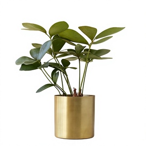 Jardinière en métal artisanale avec support pour la décoration moderne de la maison, plantes d'intérieur et aménagement de salon - Product Image 1