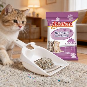 Litière pour chat en bentonite de sodium - Agglomération rapide, 99 % sans poussière, charbon actif hautement absorbant, litière pour chat en forme de boule, jetable aux toilettes - Product Image 1
