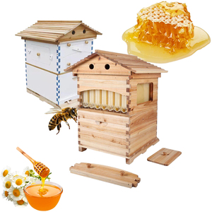 Juego Completo de <span class=keywords><strong>7</strong></span> Piezas de Colmena de Madera de Abeto Chino con Flujo Automático para Apicultura, Marca <span class=keywords><strong>SM</strong></span> - Product Image 1