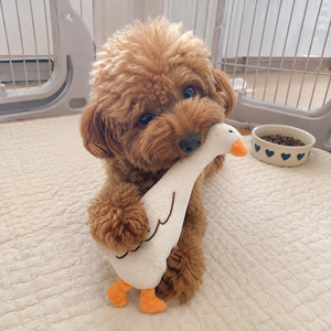 Funny Cartoon Pet <b>Plush</b> Play Toy Soft Comfort Stuffed Toy for Pet Daily Fun Bite Resistant Pet Entertainment Toy - Product Image 1