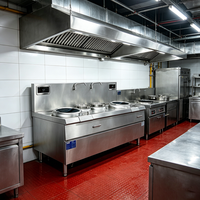 Cuisinière Wok Double Température à Double Brûleur Professionnelle pour Hôtels, Restaurants et Traiteurs