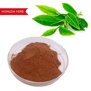 Hongda fabrika kaynağı saf doğal yeşil çay ekstresi tozu 40% Catechins tozu yeşil çay ekstresi - Product Image 1