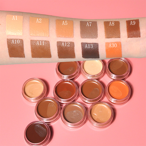 OEM Cobertura Completa Unisex Maquillaje Mate Larga Duración Mineral Contorno <span class=keywords><strong>Corrector</strong></span> Hidratante Natural Piel Color <span class=keywords><strong>Corrector</strong></span> Crema - Product Image 3