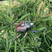 Figurines d'insectes en PVC solide, modèle de simulation, mantisse, coccinelle, insectes, figurines d'animaux, jouets, vente en gros