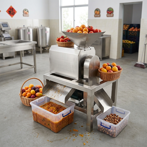 Machinerie <span class=keywords><strong>de</strong></span> transformation alimentaire semi-automatique en acier inoxydable pour ligne <span class=keywords><strong>de</strong></span> production <span class=keywords><strong>de</strong></span> pâte <span class=keywords><strong>de</strong></span> pulpe 0,5 tonne par heure - Product Image 3