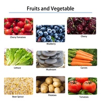 Machine automatique de conditionnement de myrtilles pour fruits et légumes frais surgelés