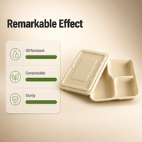 Assiette carrée jetable écologique à 3 compartiments en pulpe de bagasse, 100 % compostable, résistante à l'huile, avec couvercle, pour plats à emporter
