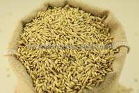 Vevor — petite Machine industrielle à polir le riz N110, appareil pour huster le riz