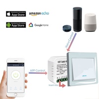 Module de relais intelligent WiFi Tuya pour la maison, 16A, commande vocale Alexa, télécommande RF, mini disjoncteur mural, contact sec, 12V 24V