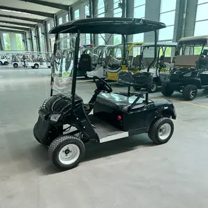 China Supplier High-End Quality 2 Seats Golf Carts Electric Golf Cart