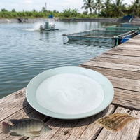 Vitamine C antioxydante (acide aminé) en gros pour l'alimentation des poissons – Vitamines de qualité pour favoriser une croissance saine des crevettes et des poissons-chats en aquaculture