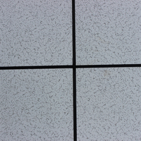 Panneau de plancher surélevé antistatique recouvert d'acier HPL haute résistance avec un design moderne pour centre de données, salle de serveurs, hôpital