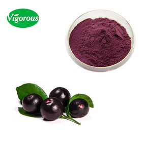 Suministro de fábrica puro natural de alta calidad muestra gratis Aristotelia chilensis fruta en polvo <span class=keywords><strong>Maqui</strong></span> Berry en polvo - Product Image 2