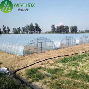 التجارية الساخنة إطار من الصلب المجلفن واحدة الدفيئة المستخدمة للبيع - Product Image 6