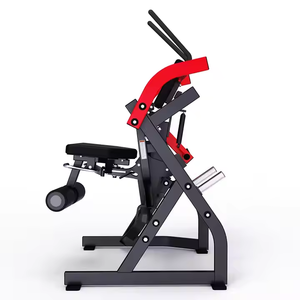 Máquina de <span class=keywords><strong>Abdominales</strong></span> con Placas de Alta Calidad Dinuo, Directo de Fábrica - Colores Personalizados para Gimnasios Comerciales - Product Image 1