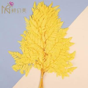 يوننان محفوظ من الجلد الأخضر أوراق السرخس-زهور بالجملة ، بدون صيانة أوراق الشجر الحرفية ديي - Product Image 3