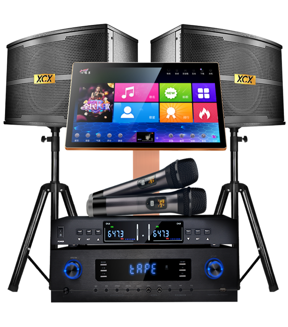 Black 19.5-inch 500g XCX audio set (550w amplifier)
