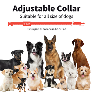 <span class=keywords><strong>Collier</strong></span> de dressage électrique portable professionnel en plastique PC et caoutchouc, étanche, pour chiens, anti-aboiement, <span class=keywords><strong>collier</strong></span> de choc avec télécommande - Product Image 3