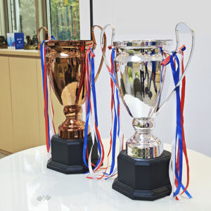 Trofeo per la Fiera Scientifica Inter-Scolastica - Design con Becher e Atom in Lega di Zinco, Regalo Premium per Giovani Scienziati - Product Image 6