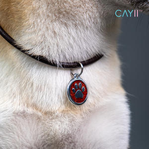 Nuevo collar de cuerda de cuero sólido para mascotas con cintas y campana para gatos y perros pequeños accesorio antipérdida ecológico - Product Image 6